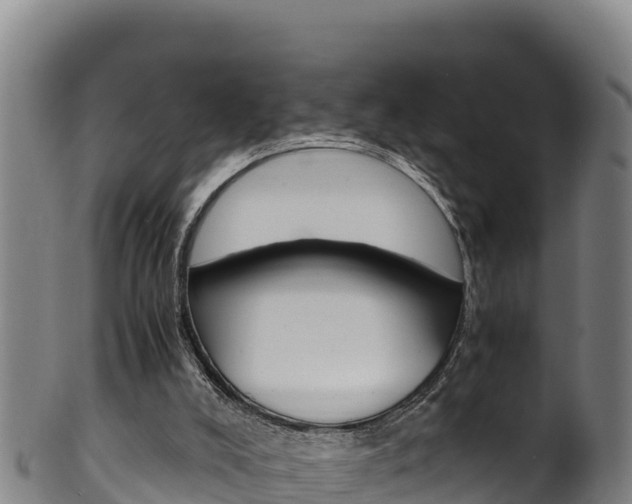 X0000100380008200806060837