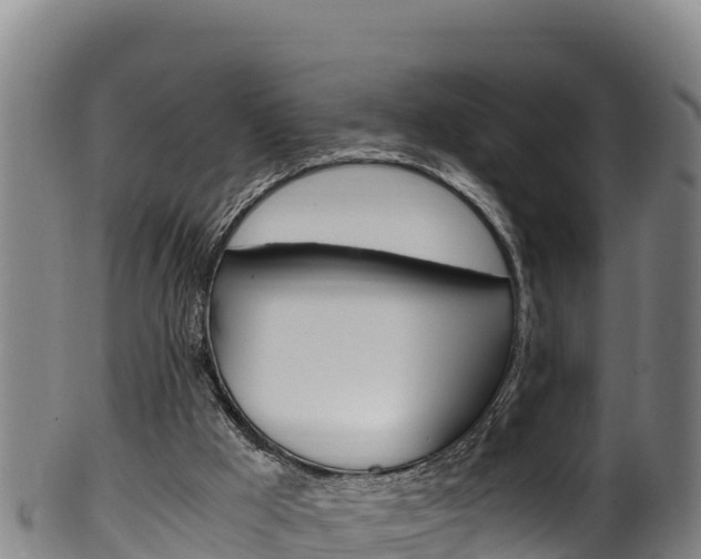 X0000100380009200806060837