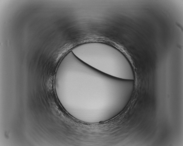 X0000100380010200806060837