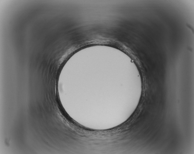 X0000100380011200806060837