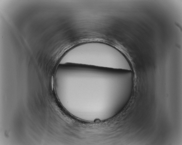 X0000100380013200806060837