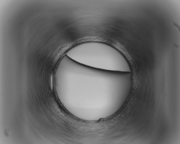 X0000100380014200806060837