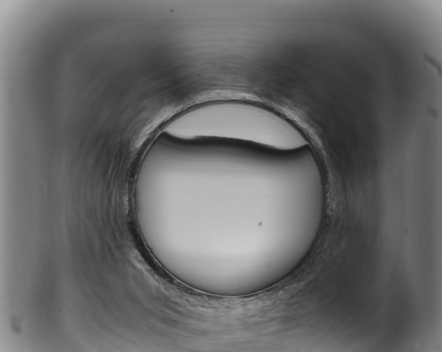 X0000100380015200806060837