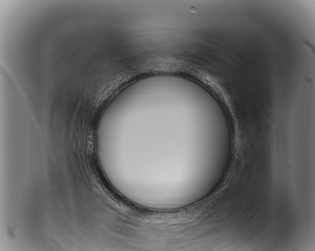 X0000100380017200806060837