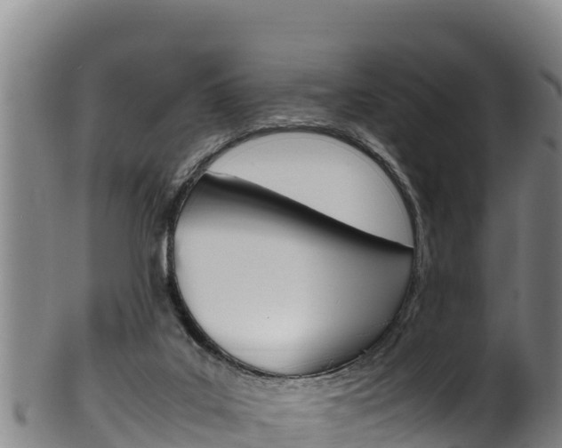 X0000100380019200806060837