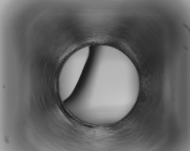 X0000100380020200806060837