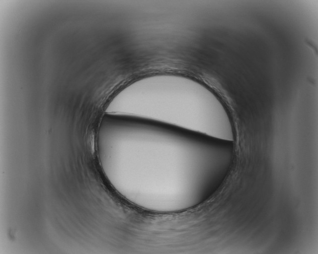 X0000100380021200806060837