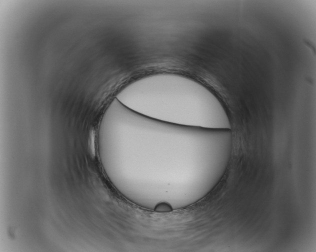 X0000100380022200806060837