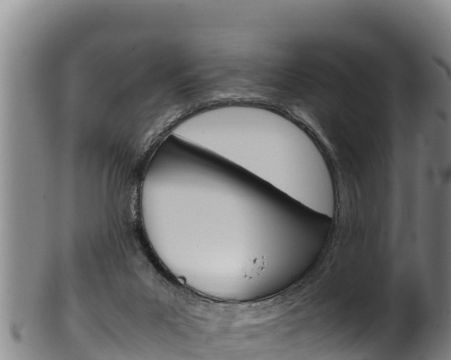 X0000100380023200806060837
