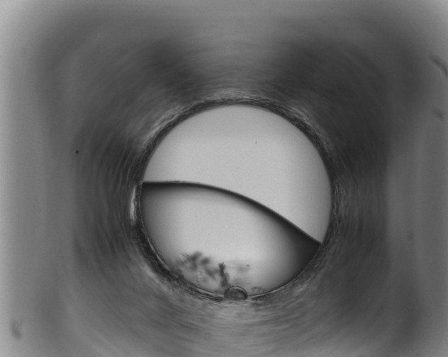 X0000100380024200806060837