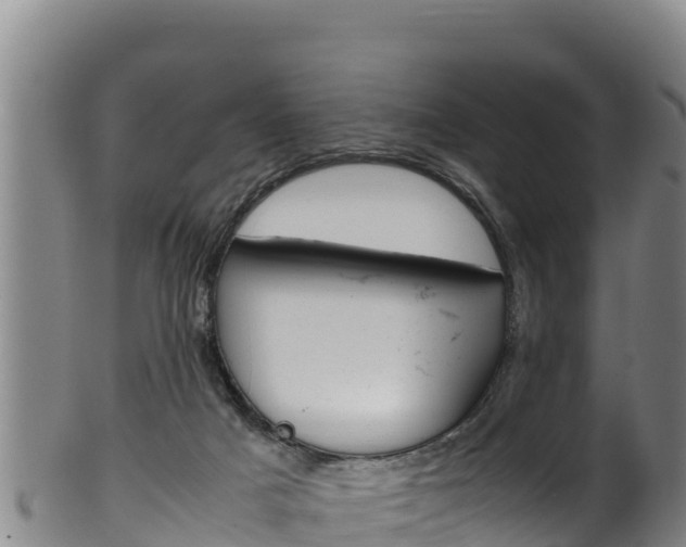 X0000100380025200806060837