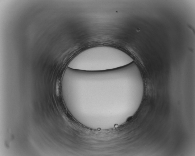 X0000100380026200806060837
