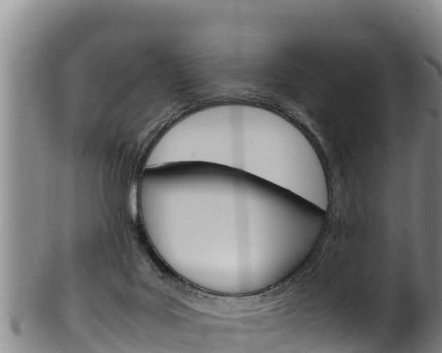 X0000100380027200806060837