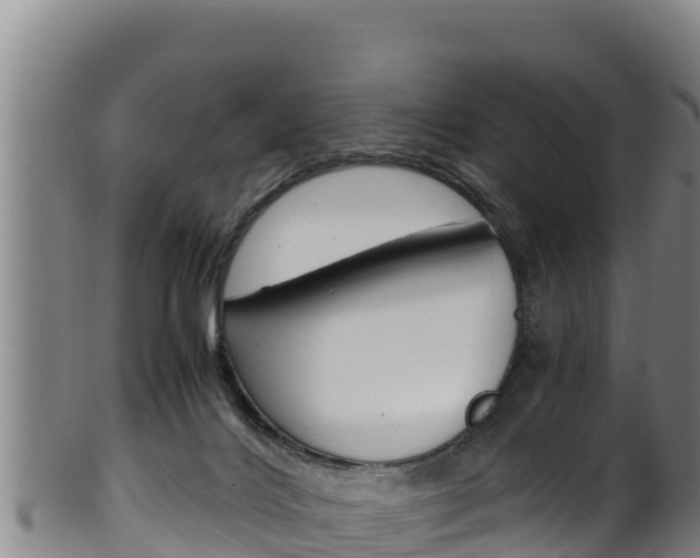 X0000100380028200806060837