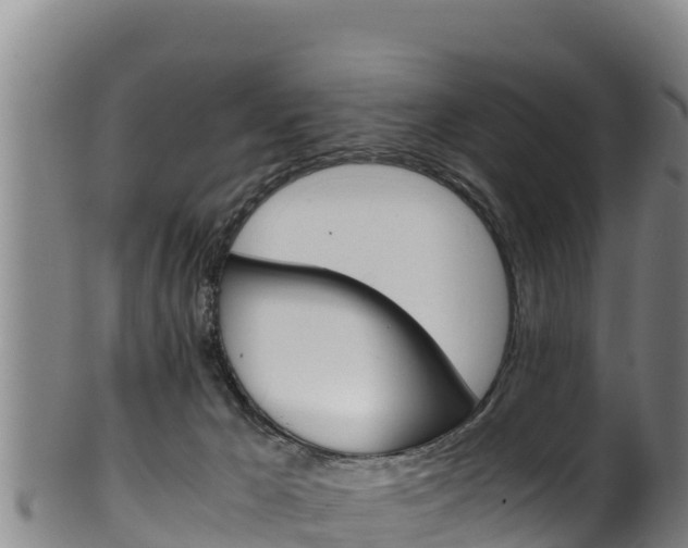 X0000100380029200806060837