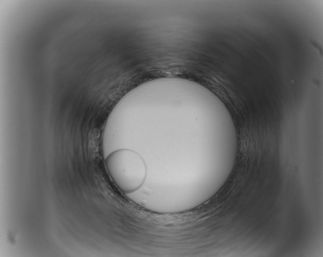 X0000100380030200806060837