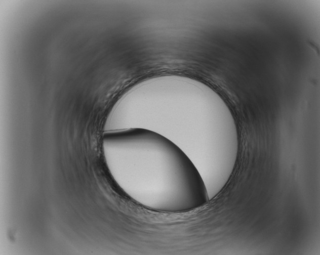 X0000100380031200806060837