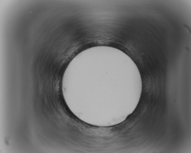 X0000100380032200806060836