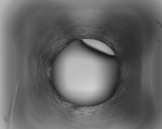 X0000100380033200806060836
