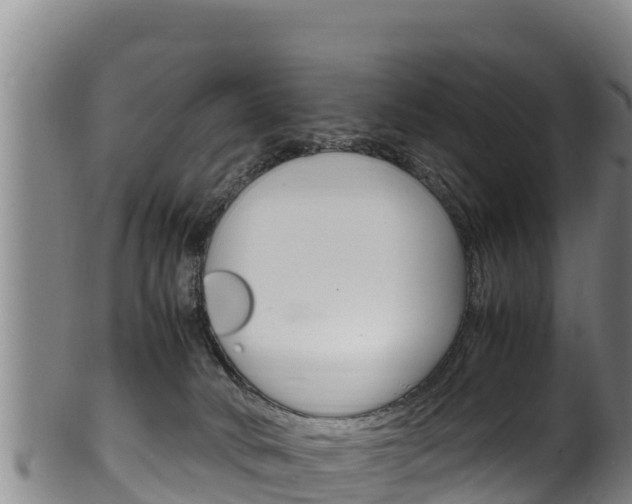 X0000100380034200806060836