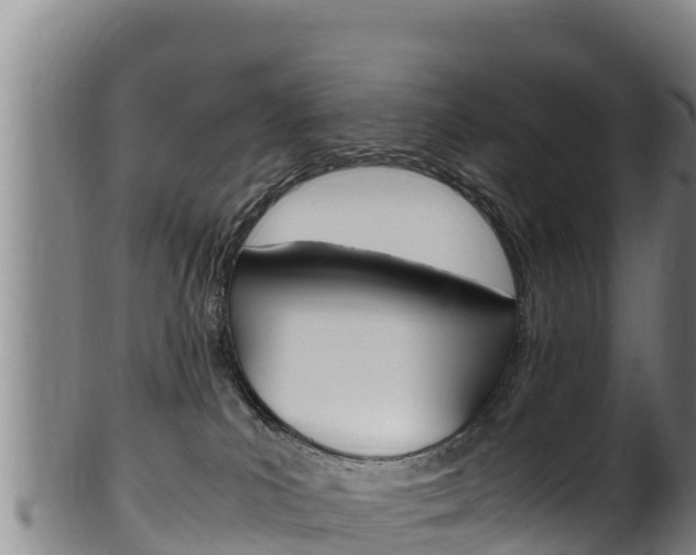 X0000100380039200806060836