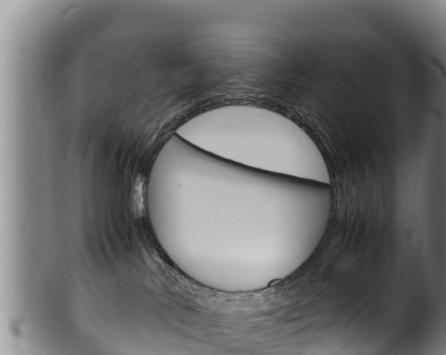 X0000100380042200806060836