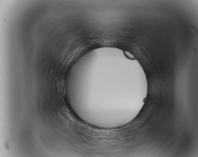 X0000100380044200806060836