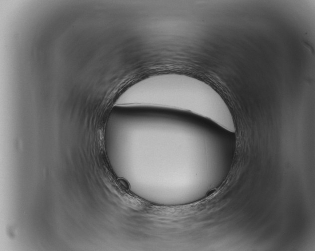 X0000100380045200806060836