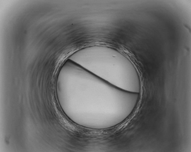X0000100380049200806060836