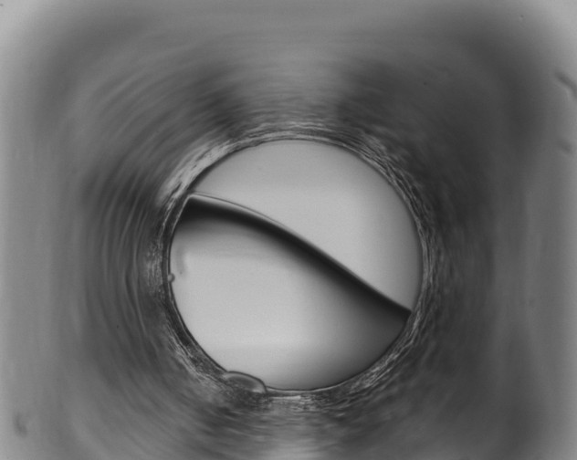 X0000100380050200806060836