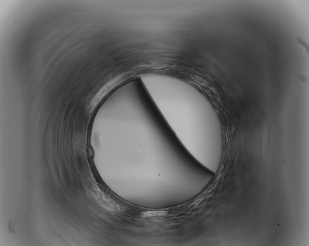 X0000100380051200806060836