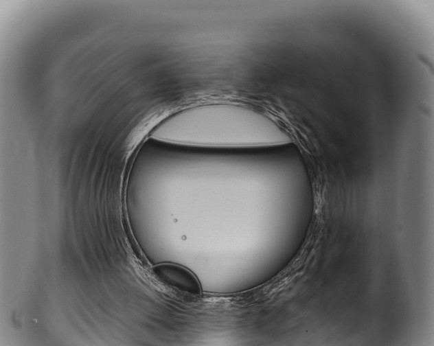 X0000100380052200806060836