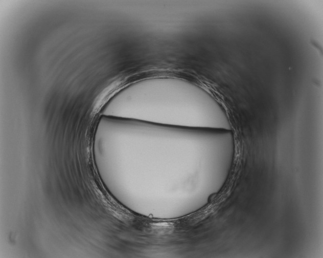 X0000100380053200806060836