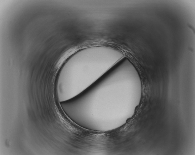 X0000100380054200806060836