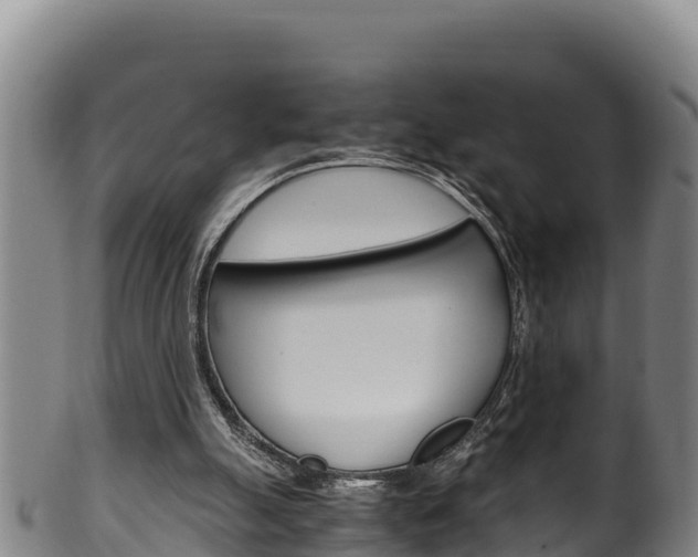 X0000100380055200806060836
