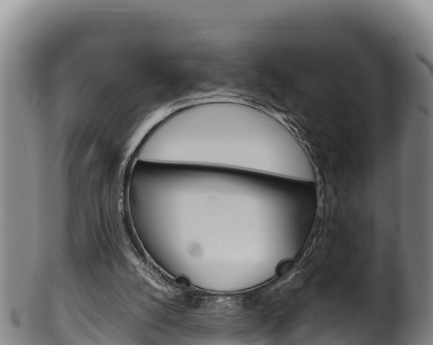 X0000100380056200806060836
