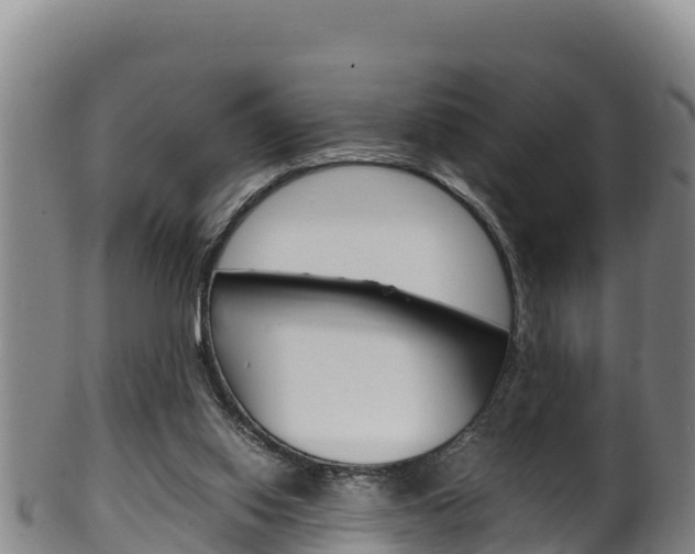 X0000100380062200806060836