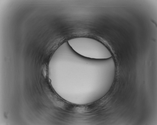 X0000100380069200806060836