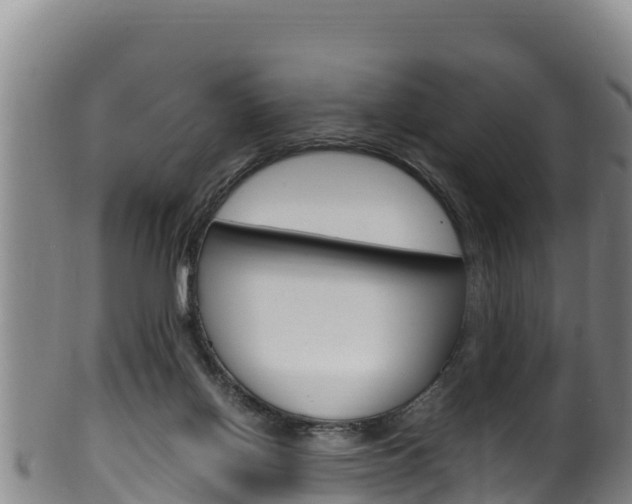 X0000100380070200806060836