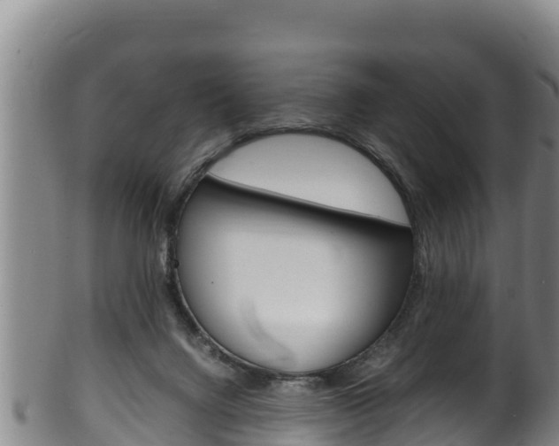 X0000100380072200806060836