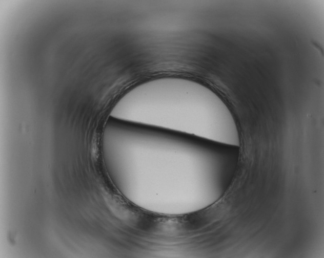 X0000100380074200806060836
