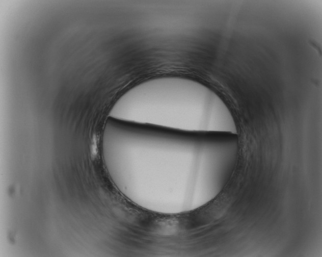 X0000100380075200806060836