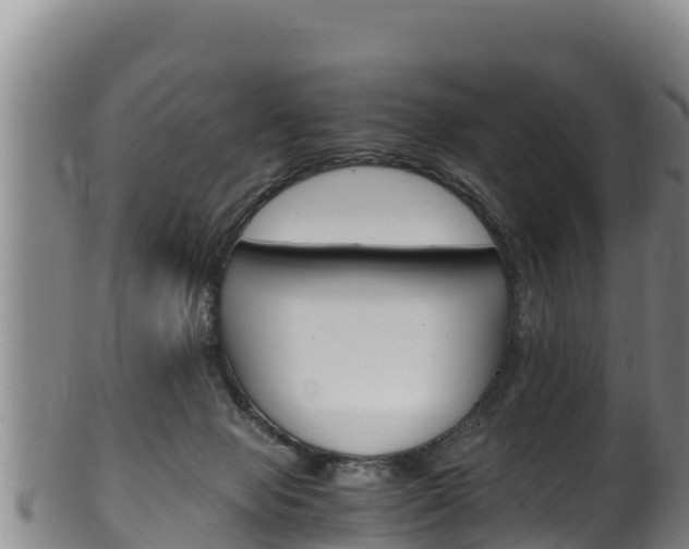 X0000100380077200806060836