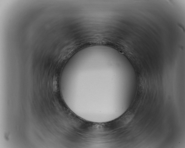 X0000100380080200806060836