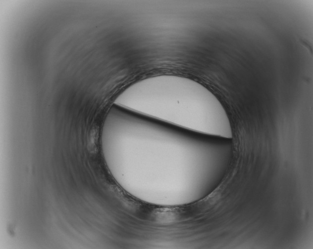 X0000100380082200806060836