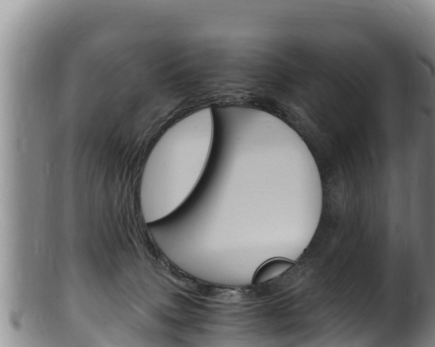 X0000100380083200806060836
