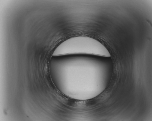 X0000100380084200806060836