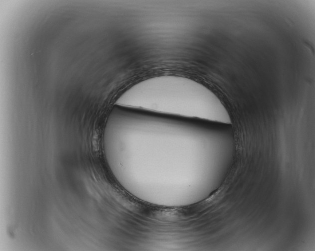 X0000100380086200806060836
