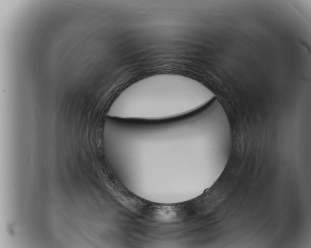 X0000100380091200806060836