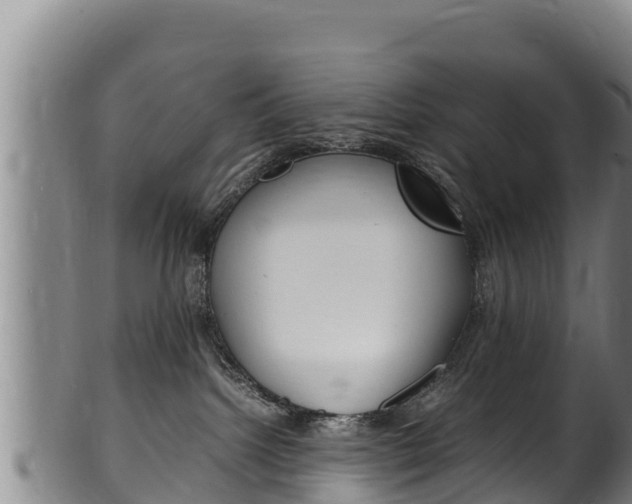 X0000100380092200806060836